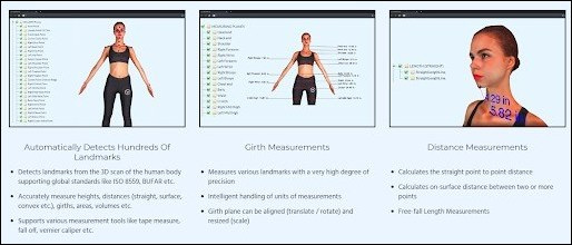 Body Proportions: Definition, Importance, and Measurement